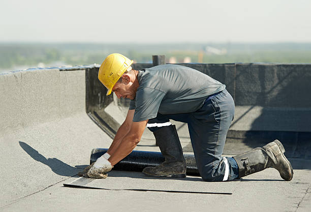 Best Insulation Repair Services  in Bacliff, TX