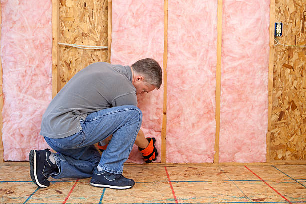 Best Insulation Removal Services  in Bacliff, TX