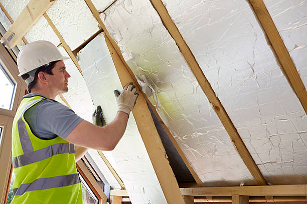 Best Home Insulation Services  in Bacliff, TX